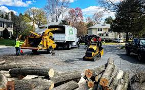 Best Tree Preservation Services  in Bedford Hills, NY